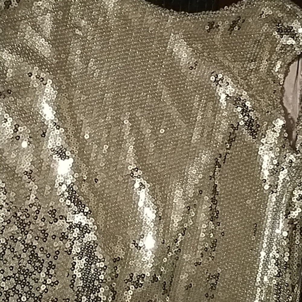Vici Dress Large